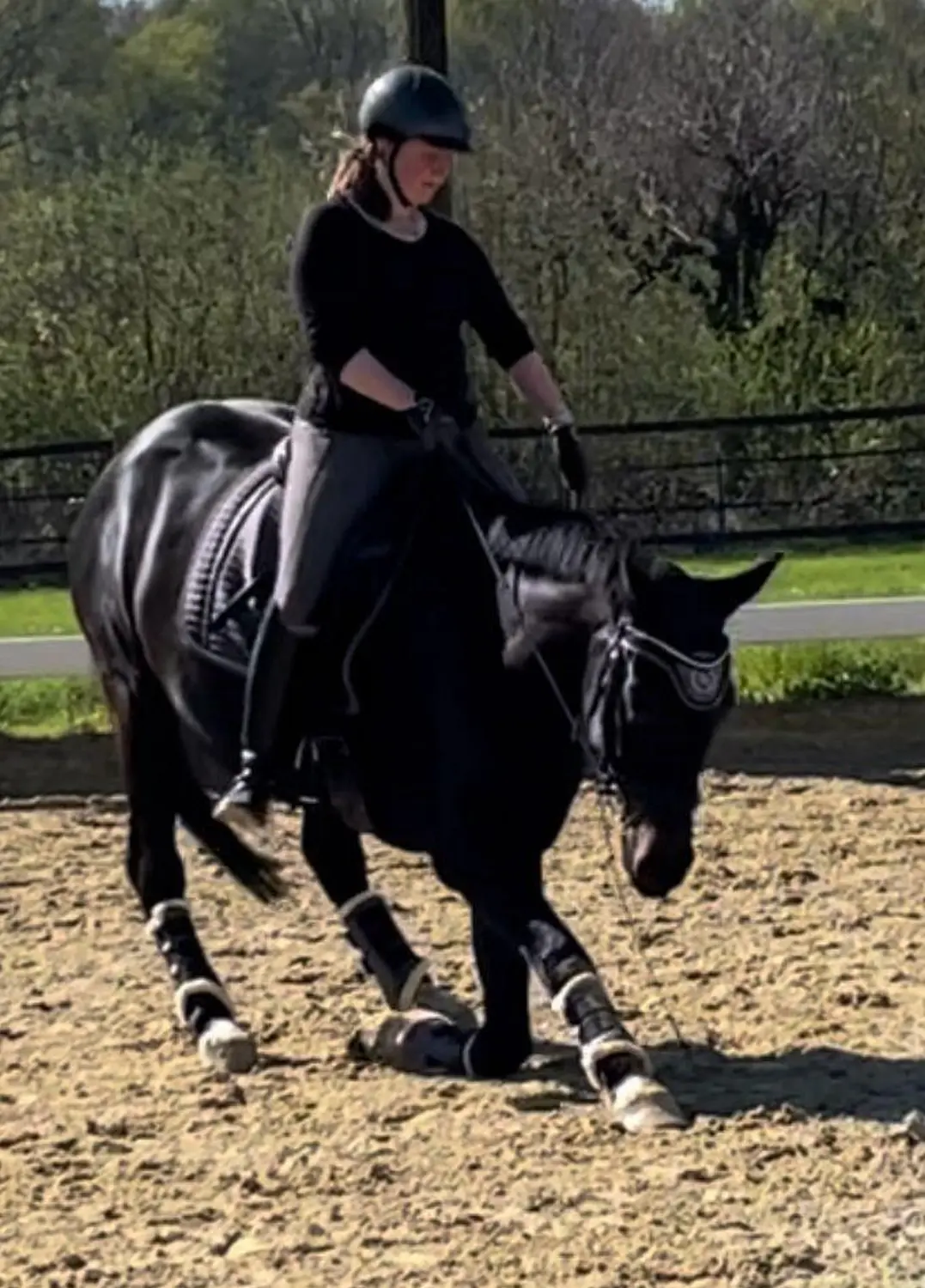 Frau reitet auf Pferd von Artemis - Verein für Physiologie und Tierwohl